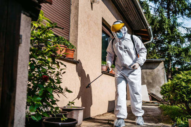 Best Local Pest Control Services  in Merriam Woods, MO