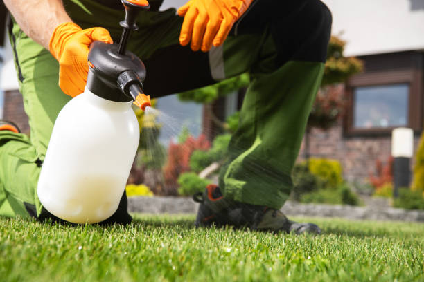 Best Pest Removal Services  in Merriam Woods, MO