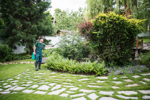 Best Pest Removal Services  in Merriam Woods, MO