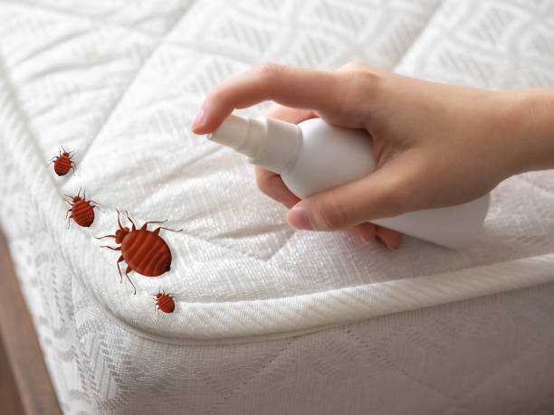 Best Emergency Pest Control  in Merriam Woods, MO