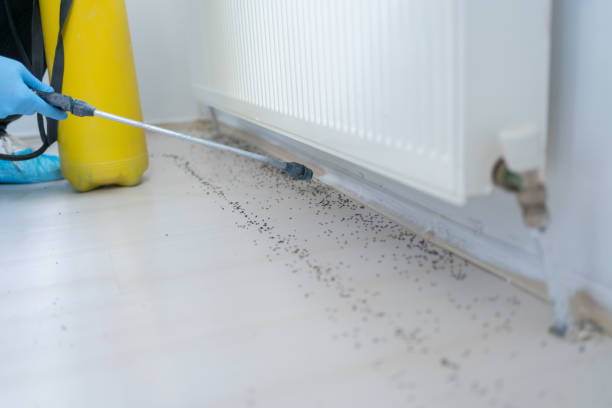 Pest Control Cost in Merriam Woods, MO